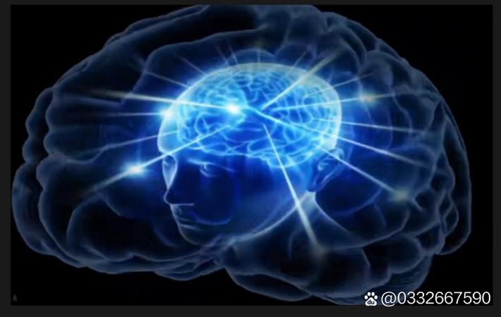 某明星夫妻机场吵架全过程被拍，情绪失控画面流出